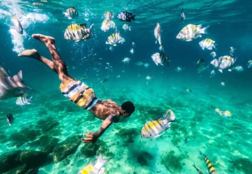Homem fazendo snorkel com peixes tropicais listrados em águas azul-turquesa cristalinas perto do Rio de Janeiro