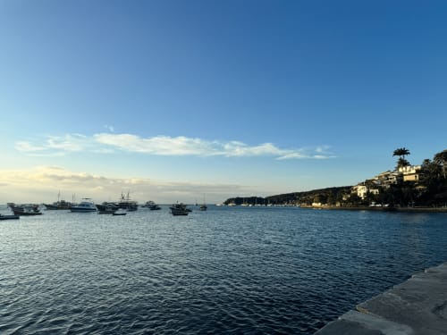 Vista cênica da baía litorânea com barcos ancorados e orla ladeada por palmeiras no Rio de Janeiro