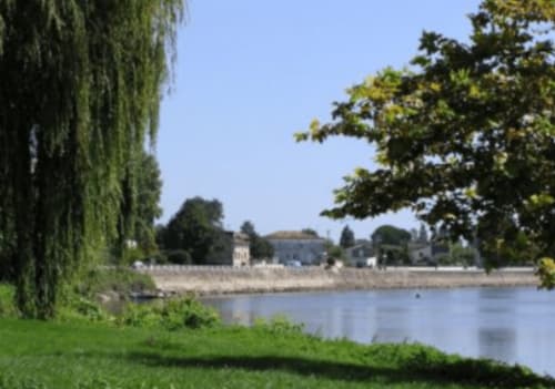 Vue riveraine de Chambres Et Gîte Peyroutas à Vignonet avec arbres, pelouse et bâtiments historiques au bord de l'eau