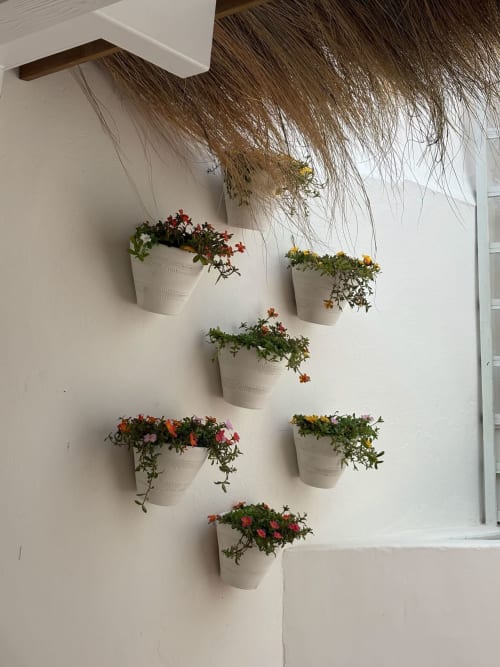 Jardineiras brancas na parede com flores coloridas no apartamento Casa Amanhada em Grândola