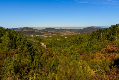 Paisagem florestal deslumbrante com vista de vale, colinas e lago na Quinta Do Carril, Portalegre Portugal