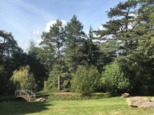 Jardin paisible de La Pierre Levée avec pont en bois, bassin, arbres luxuriants et pelouse verdoyante à La Gaubretière