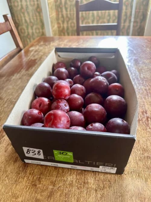 Fresh red plums in retail box at Pink-Shell B&B, Santiago de Riba-UI Portugal