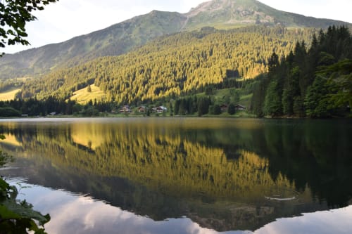 Lac alpin aux reflets miroir, forêts de conifères, pic montagneux et chalets près de L'Alp'In à La Plagne Tarentaise