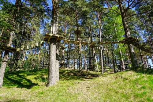 Percorso avventura tra le chiome degli alberi con piattaforme in legno e zip line tra alti pini a Résidence Marina di Bravone