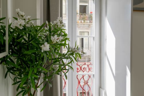 White flowering plant on windowsill at Lisbon Poets Inn with city view through paned window