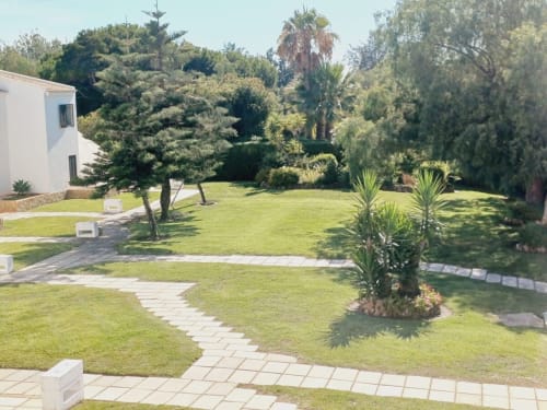 Jardim exuberante da Algarve Beach Holidays com gramado impecável, palmeiras, caminhos de pedra e edifício branco