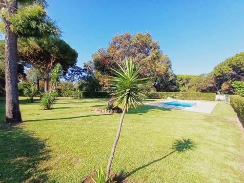 Jardim ensolarado no Algarve com palmeiras, gramado impecável e piscina azul do apartamento Barracuda beach