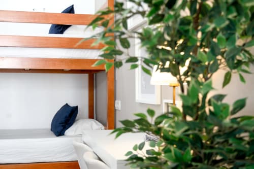 Bunk bed with navy pillow and white bedding in Lisbon Poets Inn hostel room, decorated with green potted plants and pendant