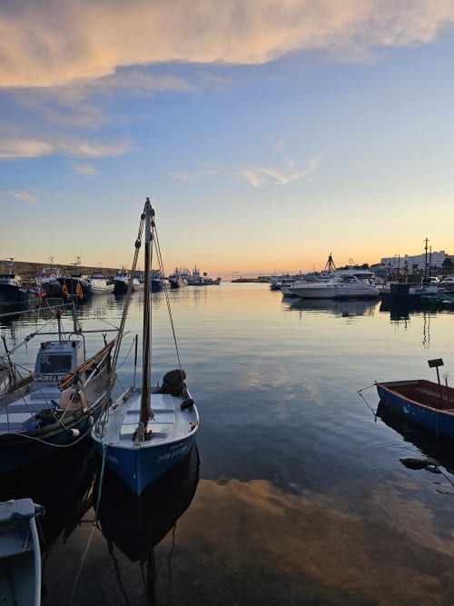Barcos de pesca amarrados en aguas tranquilas del puerto al amanecer en Calafat, España cerca de Experiencias Encant