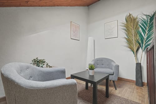 Modern living room at Emmlea Hotel in Tresserve with gray armchairs, black table, and potted plants