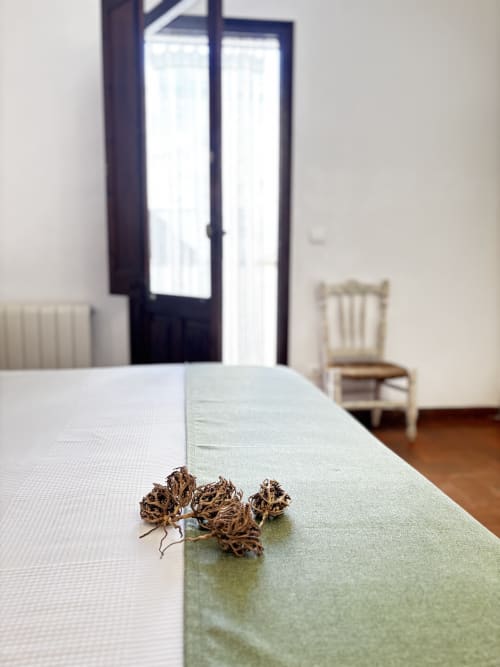 Dried seed pods on green table runner in Habitación Farigola at Mas Ribas Hotel, Palamos