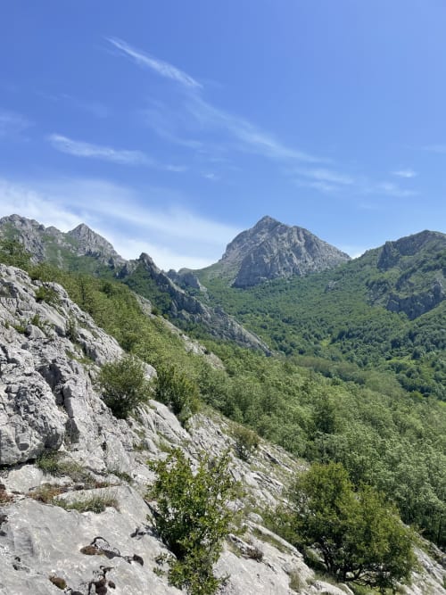 Picos rocosos de montaña con frondoso valle de bosque verde en Salamón, España, vista desde el apartamento Monte Roblo