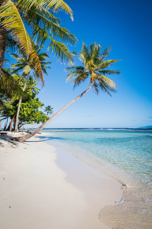 Plage de sable blanc immaculé avec palmier penché et eaux turquoise à Fare Tihi Moana, Uturoa