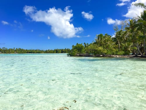 Lagon tropical aux eaux cristallines avec palmiers à Fare Tihi Moana, Uturoa, Polynésie française