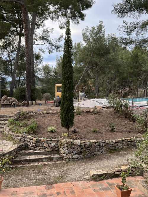 Jardin du Mas Misajail en rénovation au Castellet avec cyprès et piscine entourée d'arbres