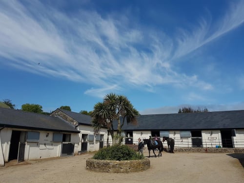 Boswell Equestrian Centre courtyard in Ashford with white stone buildings, palm tree, horses, and clear blue sky