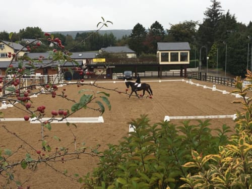 Rider on horseback in sand arena at Boswell Equestrian Centre, Ashford, with red-roofed facilities and countryside backdrop