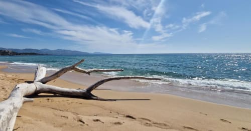 Madera de deriva en playa de arena blanca con mar turquesa y montañas, Mare e Monti Vico, Vico