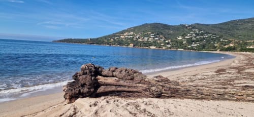 Vue pittoresque de la plage près de Mare e Monti Vico à Vico, FR avec bois flotté, rivage sablonneux et maisons sur la colline