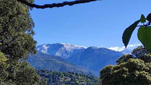 Montagnes enneigées et vallées verdoyantes encadrées d'oliviers à Mare e Monti Vico, Calabre