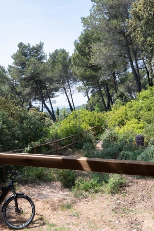 Bicycle on forest trail at Le chant des pins Lodges & Spas, Saint-Marc-Jaumegarde, with pine trees and hiking path