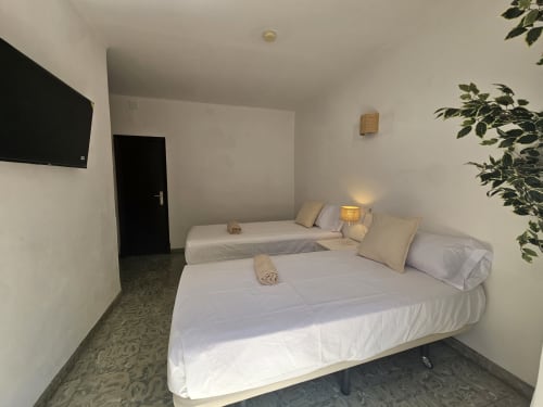Camas gemelas en habitación doble moderna de Villa Palmer hostel en Paguera con TV y plantas
