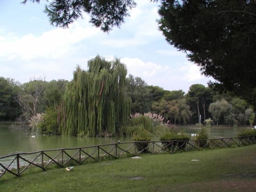 Serene lakeside garden view at Pescara INN with weeping willow, wooden fence, and lush trees reflected in calm water
