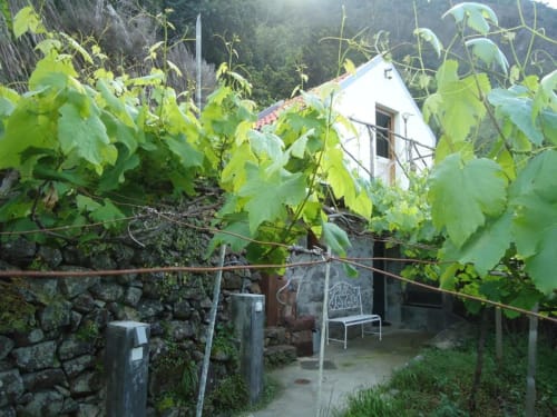 Casarão de pedra coberto por vinhas com postigos brancos em Casa Estrelícia-Dourada Garcês, São Vicente, Portugal