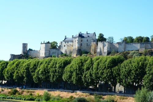 Château médiéval dominant les vignobles et la Loire, région viticole de la Vallée de la Loire, France près de Maison Romy