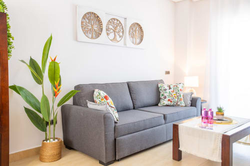 Sala moderna en apartamento de San Pedro del Pinatar con sofá gris, planta ave del paraíso colorida y árbol decorativo