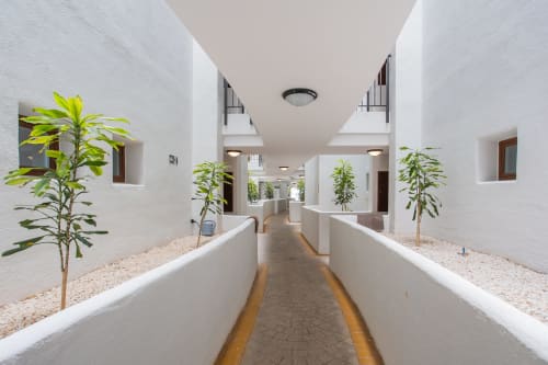 Moderno pasillo en Haus Holiday Homes con paredes blancas, plantas en macetas y piso de terracota que conduce a áreas comunes