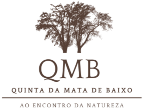 Logo da Quinta da Mata de Baixo com emblema de árvore, casa de campo portuguesa em Cagida