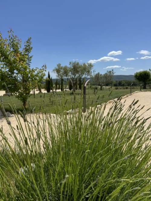 Weelderige groene tuin met siergrassen en cipressenstraten bij L'arbre Qui Chante BnB, Saint Sauveur de Cruzières