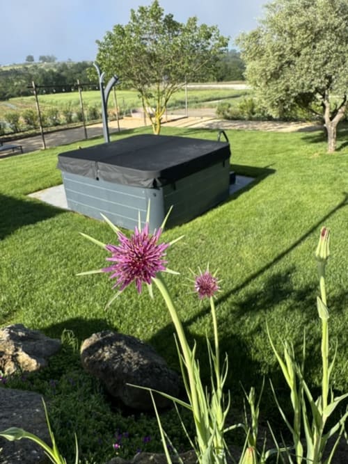 Hottub met zwart deksel in de tuin van B&B L'arbre Qui Chante, Saint Sauveur de Cruzières, paarse bloemen en bomen