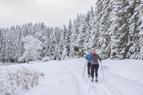 Skieurs de fond sur un sentier enneigé entourés d'une forêt de sapins givrée au Refuge des Brumes, Vosges