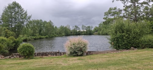 Lac privé aux arbres verdoyants et pelouse verdure au gîte Accolade L'étang de la Chartière à Châteaudun, France