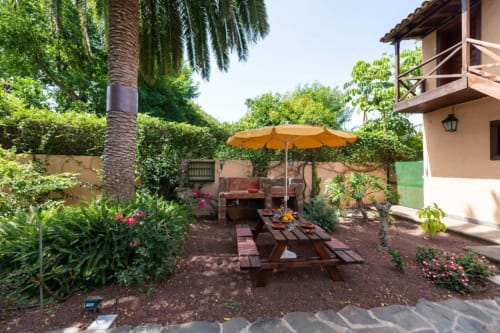 Patio de apartamento en Canarias con mesa de picnic de madera, sombrilla naranja, palmera y exuberante vegetación