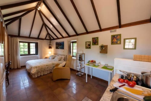 Estudio espacioso en Haller Homes, Islas Canarias, con techo de vigas bóveda, cama, cocina americana y acceso a terraza