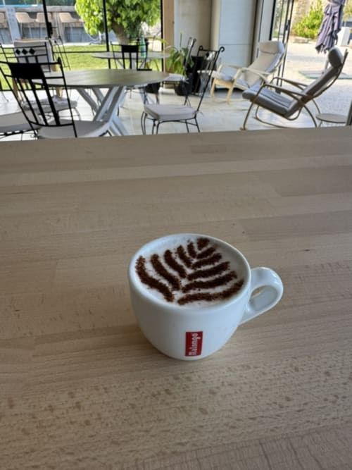 Latte orné d'une feuille de fougère en latte art sur table en bois à L'arbre Qui Chante, Saint Sauveur de Cruzières