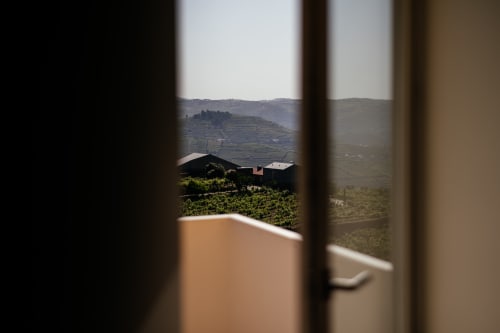 Vista da varanda do quarto do hotel Douro Land com vinhedo em socalcos e paisagem rural em Peso da Régua, Portugal
