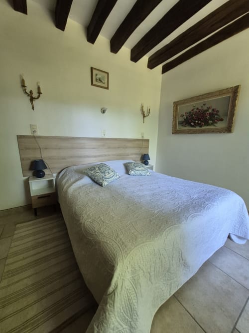 Chambre du gîte Le Moulin Garnier avec plafond à poutres apparentes, lit queen-size et vue sur la rivière à Vernou-sur-Brenne