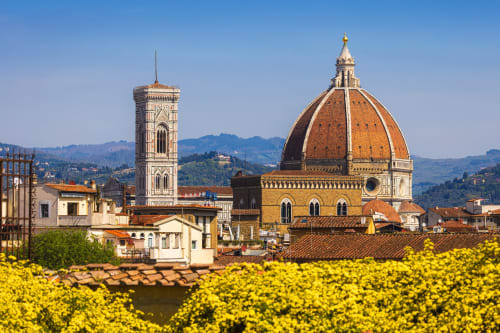 Cattedrale di Firenze con campanile e cupola dietro fiori gialli, ubicazione Hotel Regina in Italia