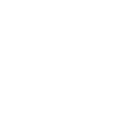 Logo bianco di Camere d'Aria con sfondo trasparente