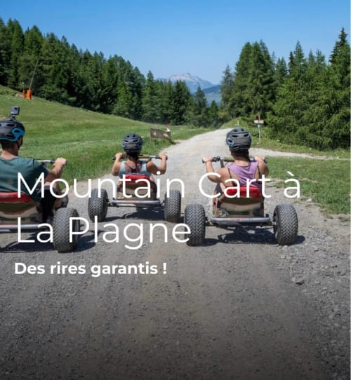 Descente en chariot de montagne à La Plagne avec des fous rires garantis - activité L'Alp'In