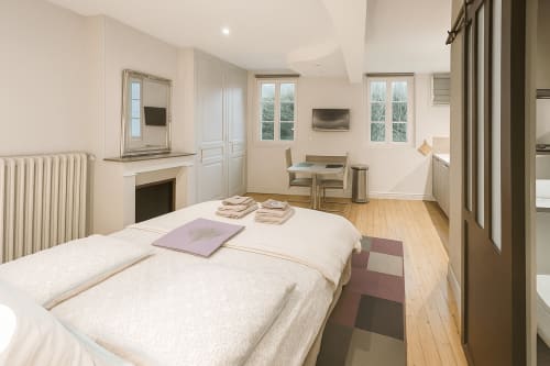 Spacieuse chambre-studio à Maunoury Citybreak à Chartres avec lit queen-size, cheminée, vue sur jardin et design moderne