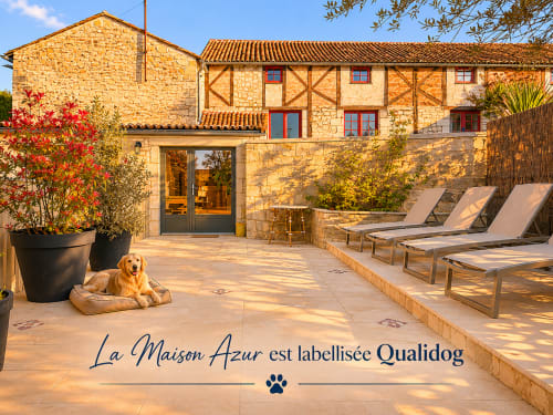 Terrasse du cottage Maison Azur en pierre dorée, chien reposant sur lit, transats, fleurs en pots et murs en pierre
