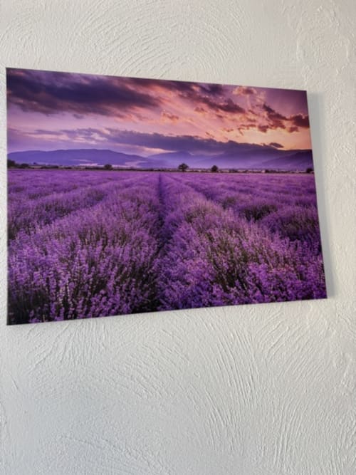 Paars lavendelveld bij zonsondergang met bergen, Lavendekamer uitzicht bij L'arbre Qui Chante, Saint Sauveur de Cruzières