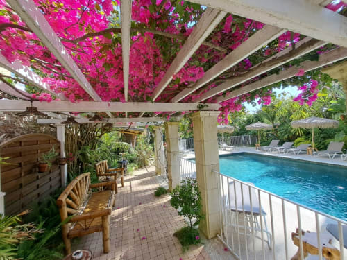 Pergola couverte de bougainvillées magenta surplombant la piscine de la Résidence Vélès Plage, Cannes