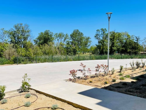 Terrazza in cemento di Marina di Bravone con paesaggistica, lampione e alberi a Linguizzetta